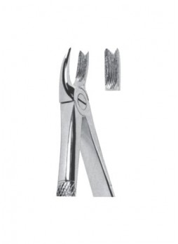 Extracting Forceps